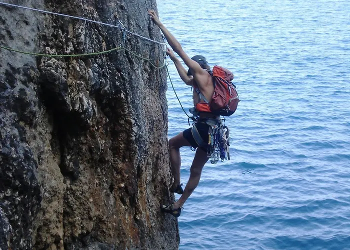 Sunflower Apartment *